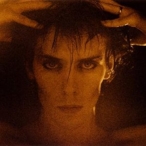 Peter Murphy