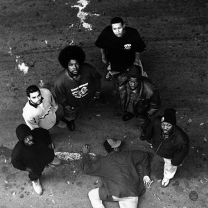 The Roots