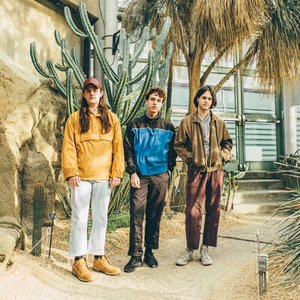 Beach Fossils