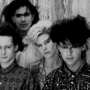 Clan Of Xymox