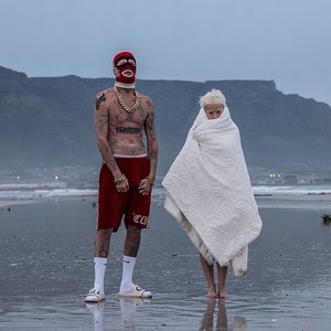 Die Antwoord