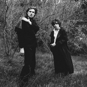 Foxygen