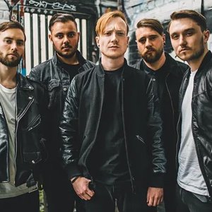 Mallory Knox