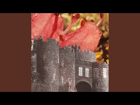 Deerhunter - Agoraphobia